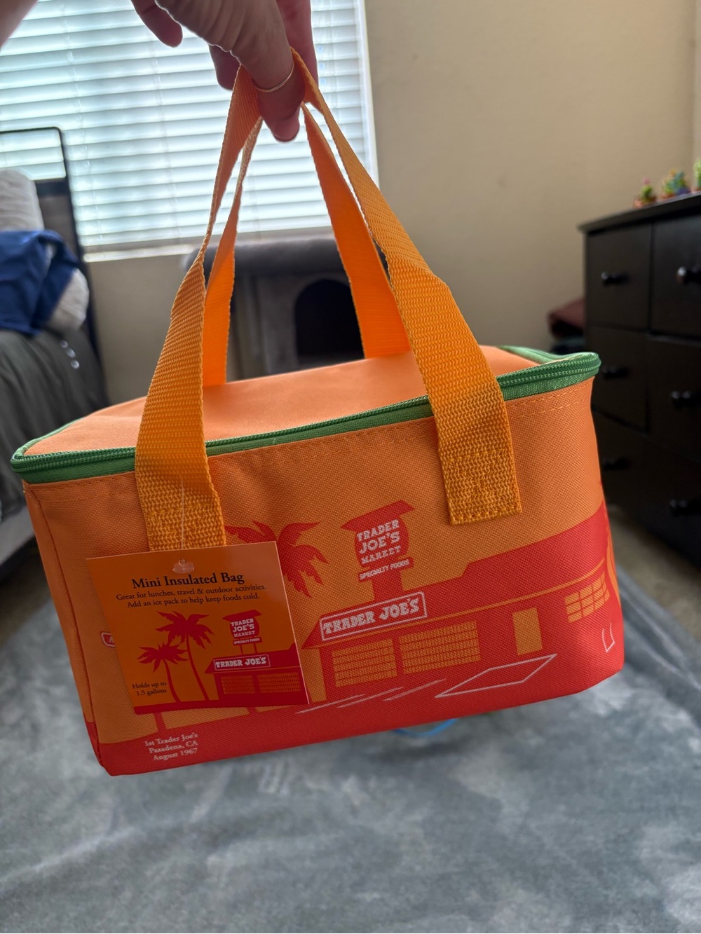 Trader Joe's Mini Insulated Tote - Orange & Green